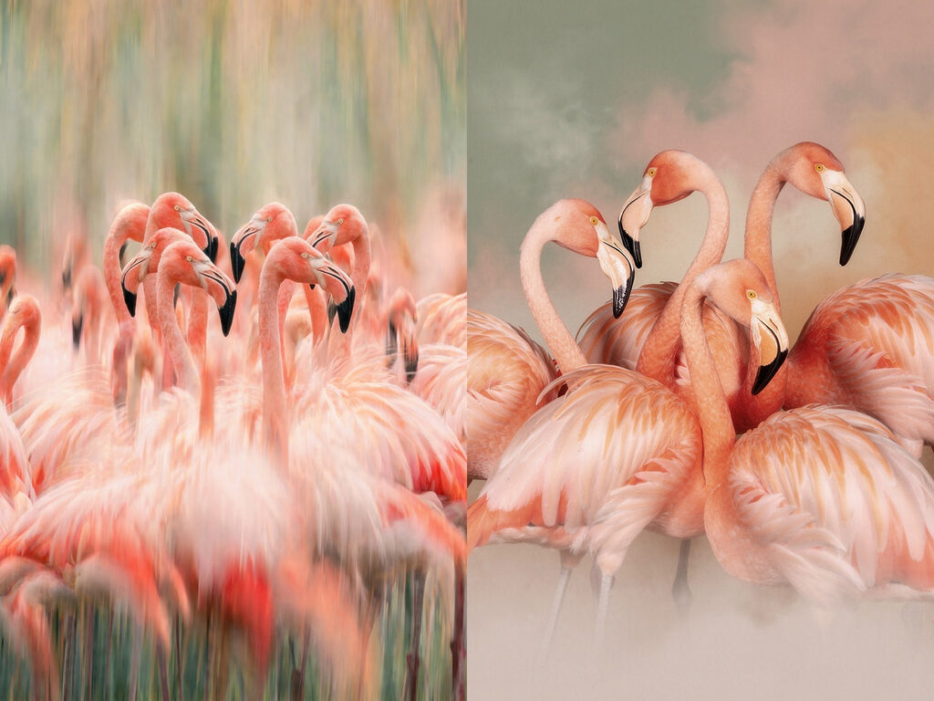 Flamingi w pionowych smugach — cały wzór