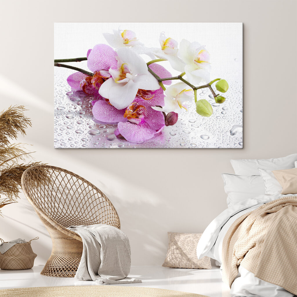Storczyki w kroplach rosy — wnętrze 4