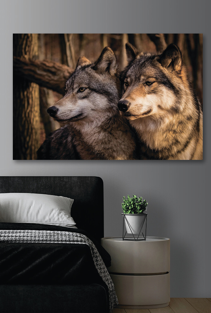 Wilki w leśnym świetle — wnętrze 2
