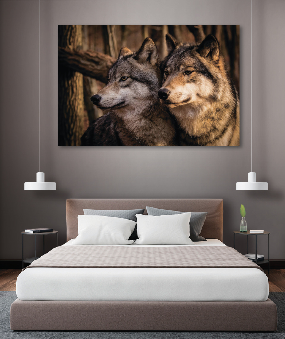 Wilki w leśnym świetle — wnętrze 3