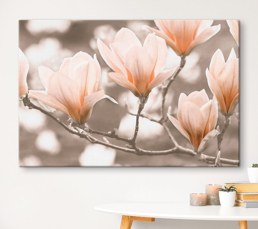 Magnolie wzdłuż gałęzi — wnętrze 3