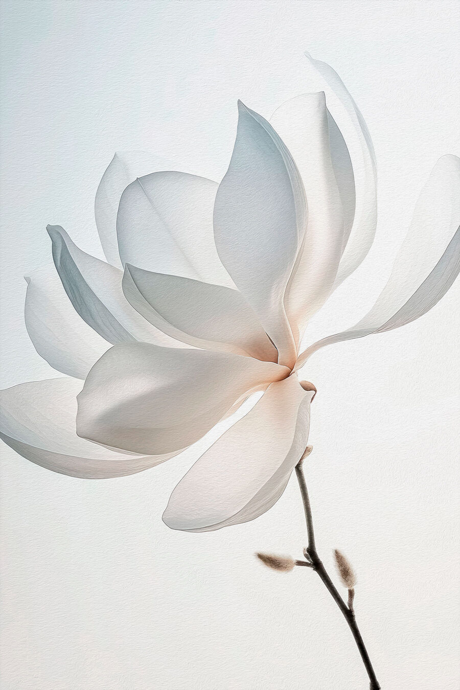Lekko zgięta biała magnolia — cały wzór