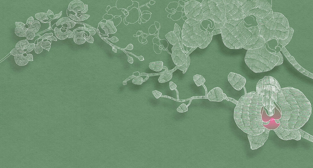Orchidea w zielonych liniach — cały wzór