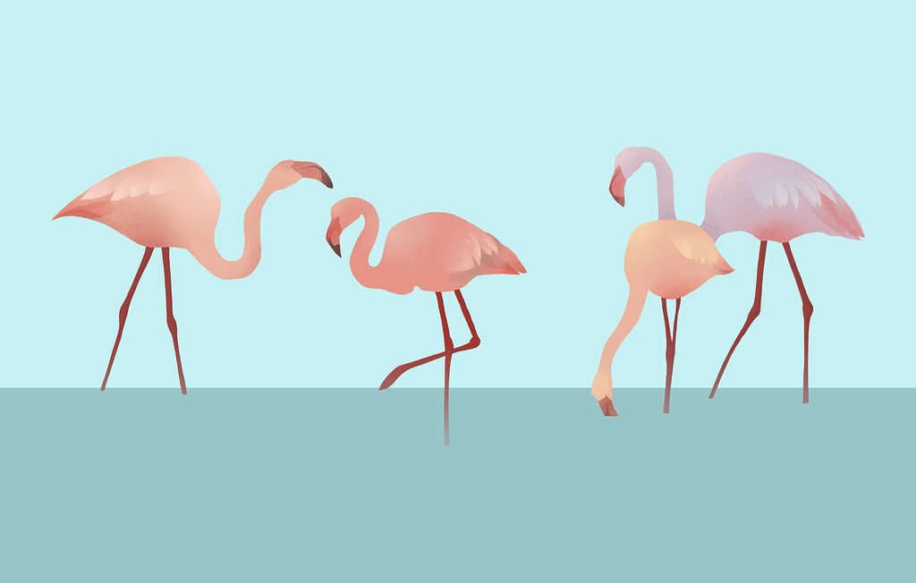 Flamingi na turkusie — cały wzór
