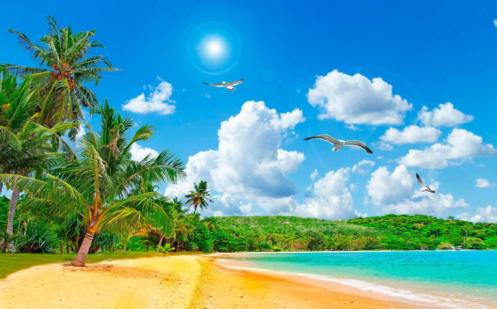 Słoneczna plaża z palmami — cały wzór
