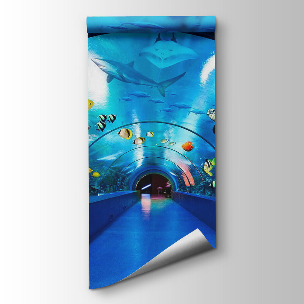 Pod wodą wśród ryb — widok produktu