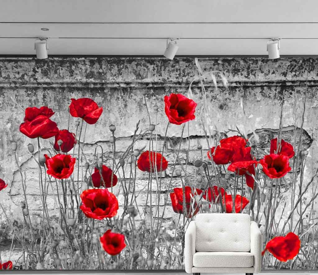 Maki przy szarych murach we wnętrzu
