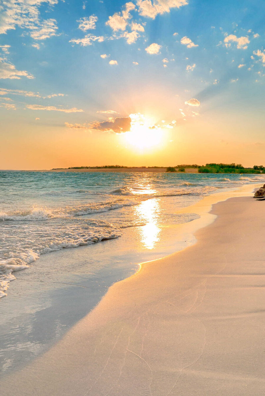 Słońce nad plażą — cały wzór