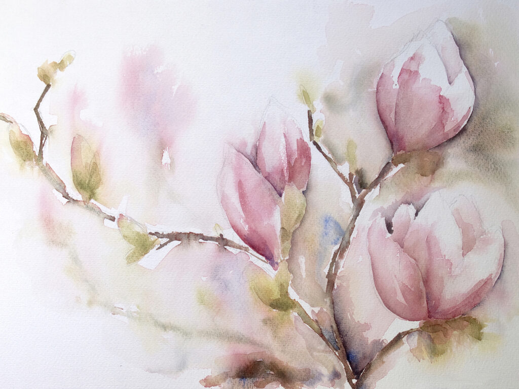 Magnolia w różowej akwareli — cały wzór
