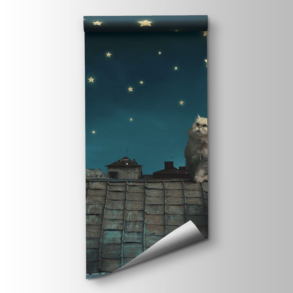 Kot wśród gwiazd — widok produktu