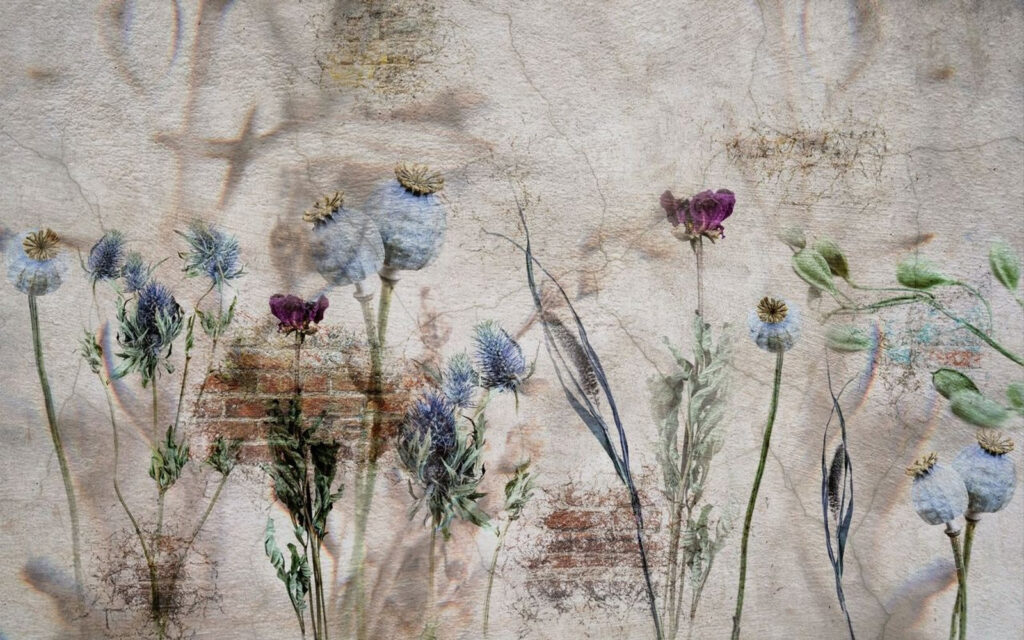 Osty na zwietrzałym tynku — cały wzór