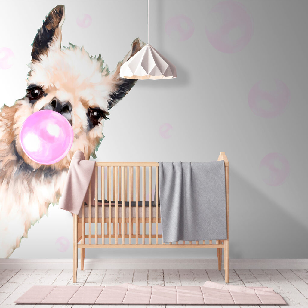 Lama dmucha gumę — wnętrze 2
