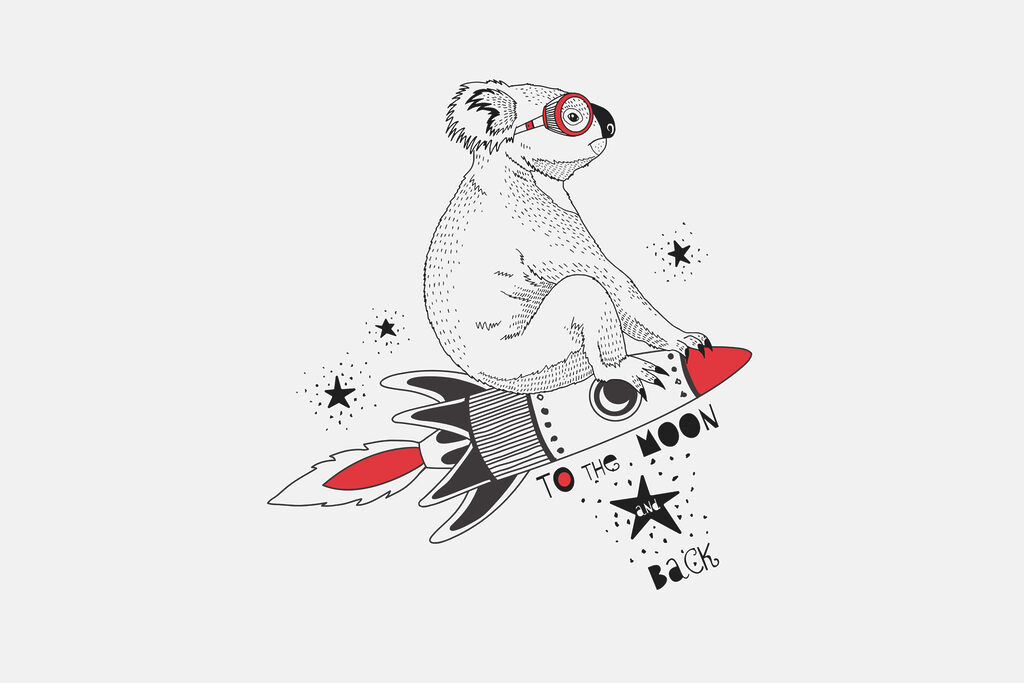 Koala na rakiecie — cały wzór