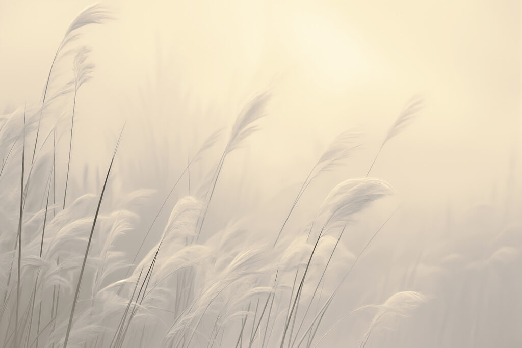 Trawy we mgle — cały wzór