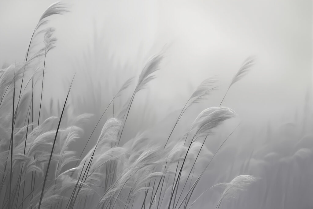 Trawy we mgle — cały wzór