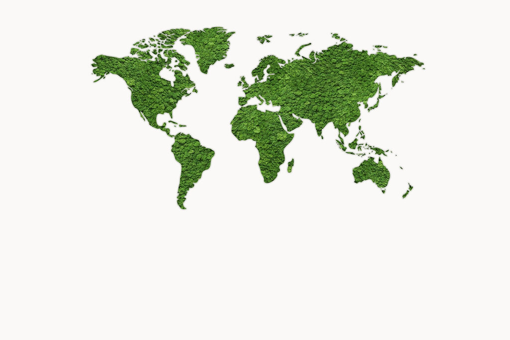 Mapa świata — cały wzór