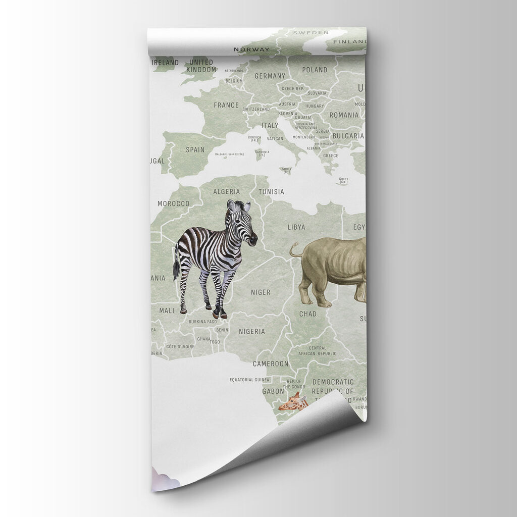 Mapa świata z balonami — widok produktu